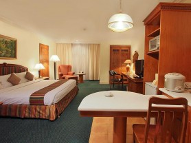 DELUXE SUITE