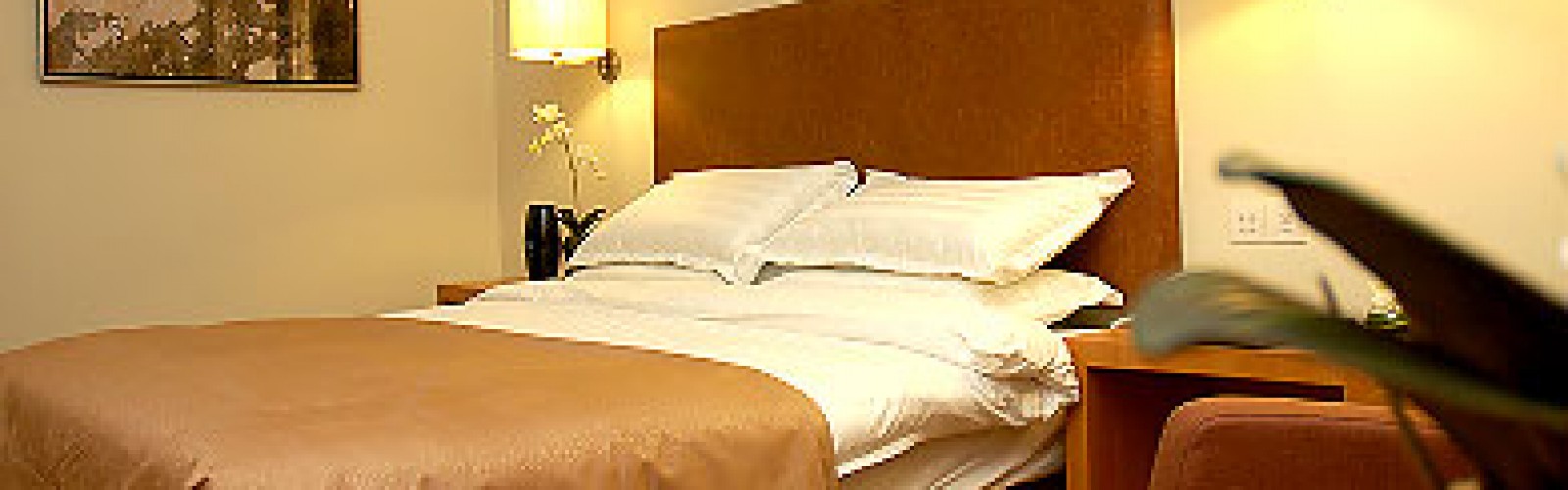 hotel-standard01-big